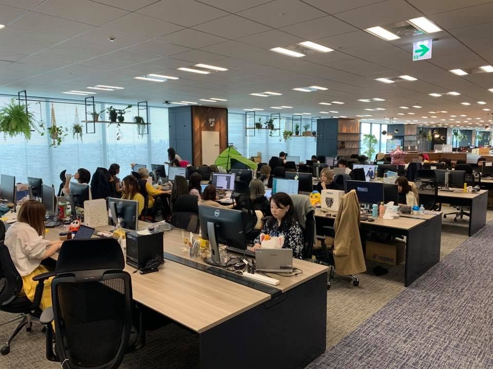 Coding & Development